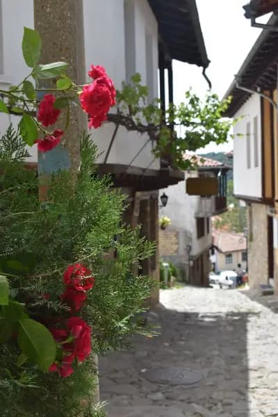 Family Hotel "Slavianska dusha"