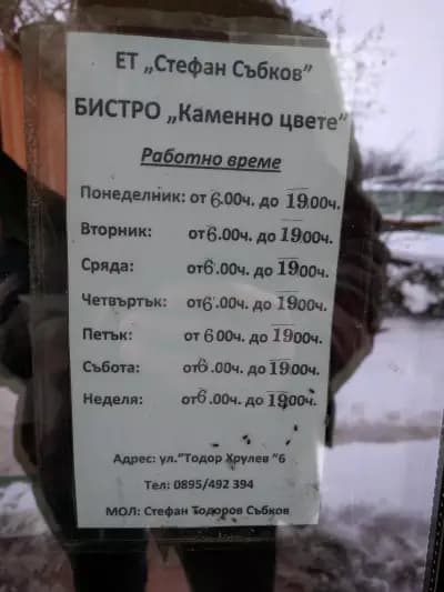 Каменно Цвете | Свищов