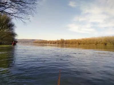 Camping Dunav