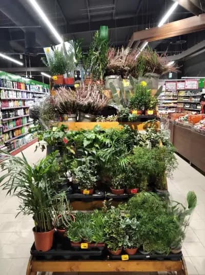 BulMag Супермаркет Retail Park