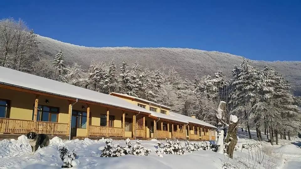 Комплекс Ловец