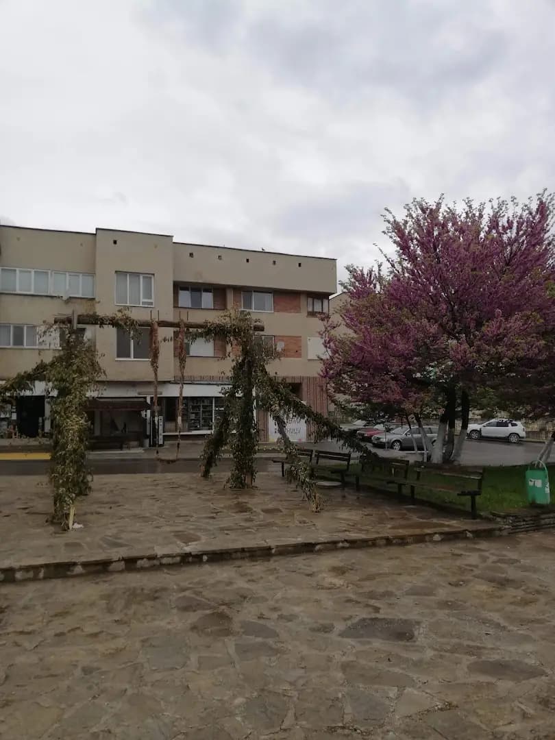 Кметство Драгоево