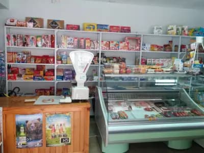 Моника Експресс