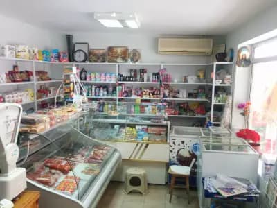 Моника Експресс