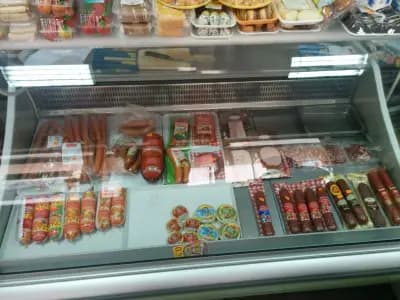 Моника Експресс