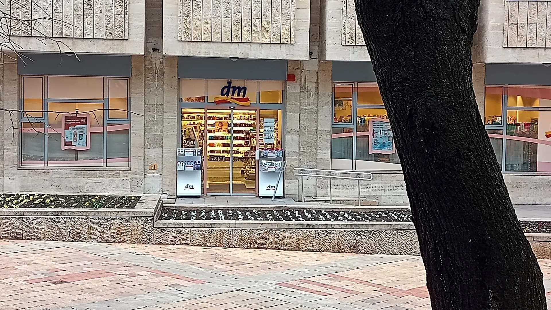 dm България