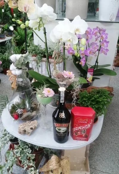 Бутик за цветя КАЛАТЕЯ
