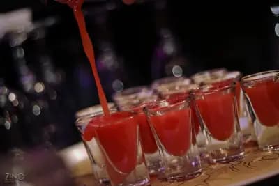 Zino Club