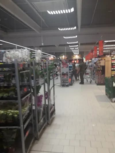 Kaufland Шумен - Боян Българанов