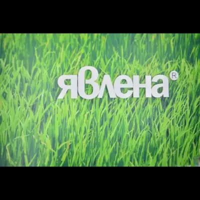 ЯВЛЕНА НЕДВИЖИМИ ИМОТИ