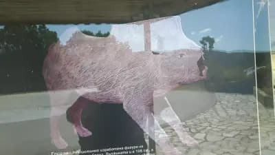 Тракийска куполна гробница храм Мезек