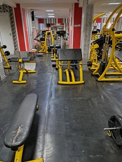 Fitness „Style”