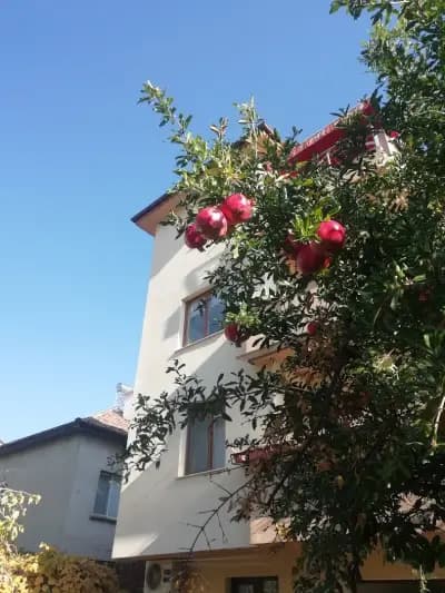 Family Apartment M