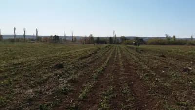 MGL-BG LTD warehouse Haskovo