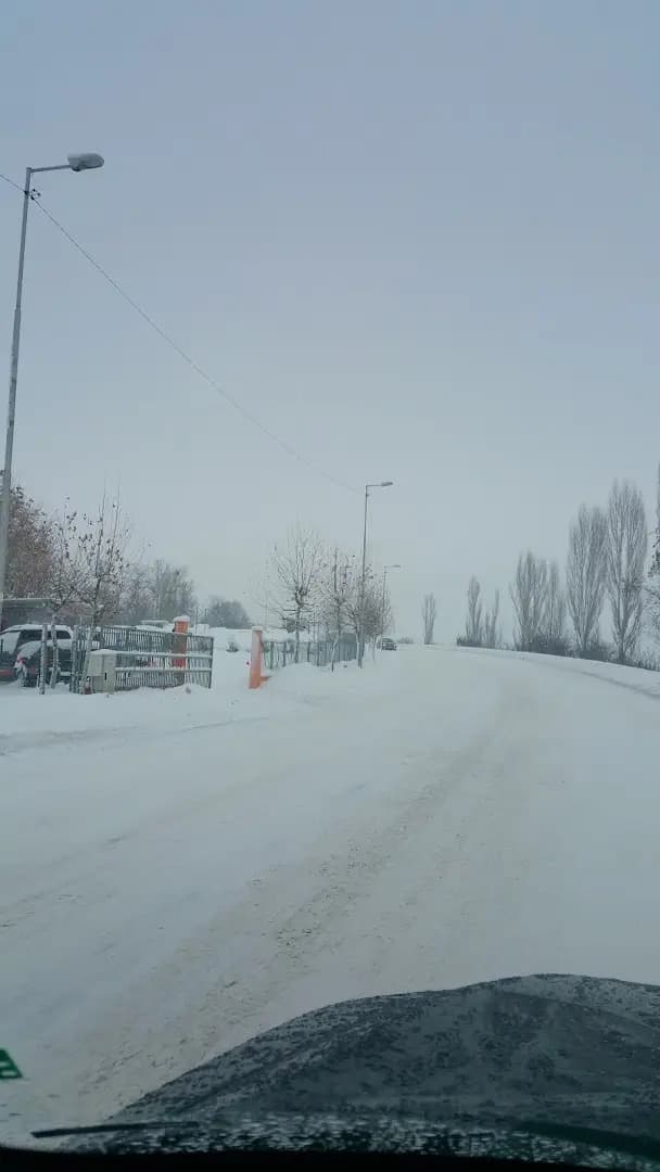 Autocomplex Dimitrov