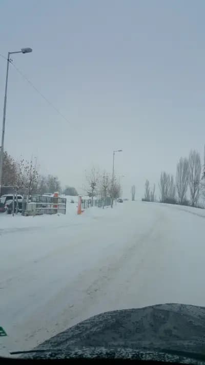 Autocomplex Dimitrov