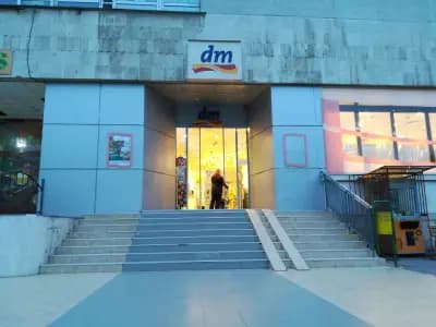 dm България