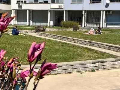 Spring Care Exotic Tours