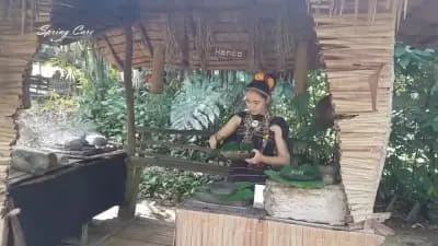 Spring Care Exotic Tours