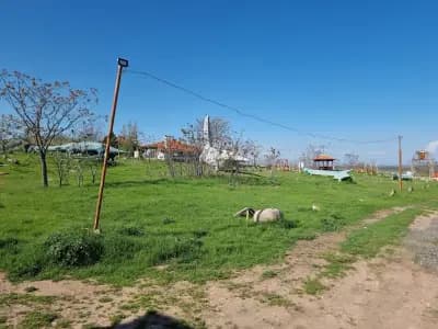 с. Ново село