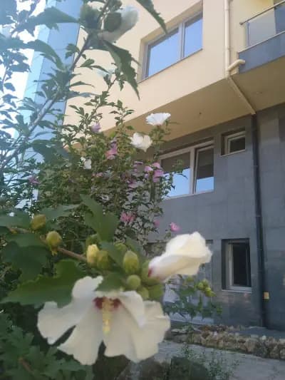 Фитнес зала Пийк