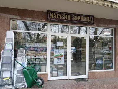 Зорница 05