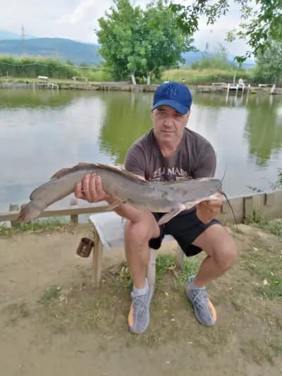 Спортен риболов ЗлатиТрап