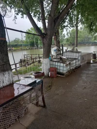 Спортен риболов ЗлатиТрап