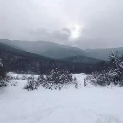 Хотелски комплекс "Ливадите"