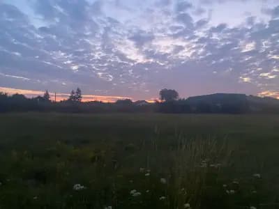 Хранителни стоки Вучко, Батановци