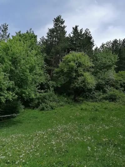 Хижа „Славей“