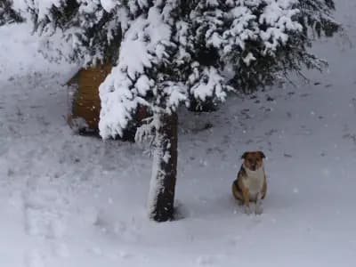 Хамалницата