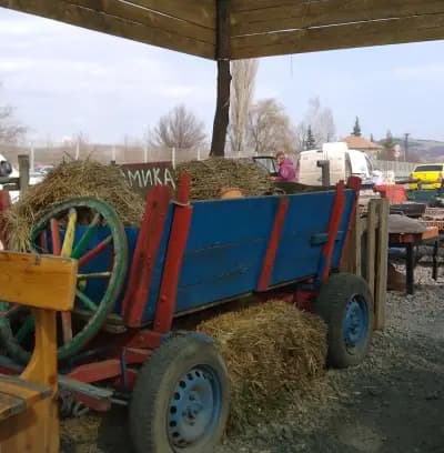 Кафана Гладни вук, сръбска скара