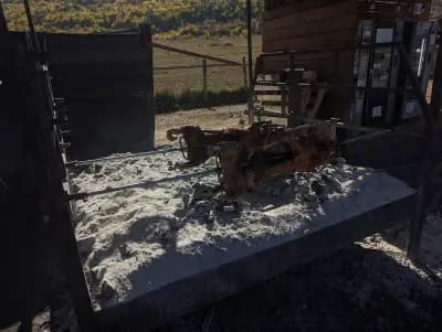 Кафана Гладни вук, сръбска скара