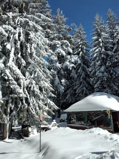 Хотелски Комплекс Боерица