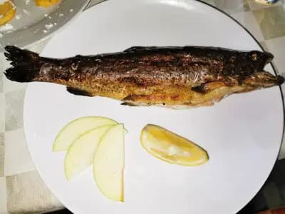 Механа хайдутите