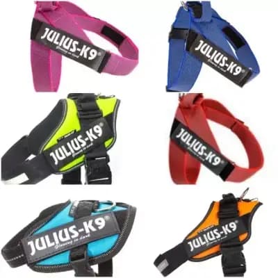 Бифит-Ка ЕООД: вносител на Julius-K9 /нагръдници, поводи, нашийници, играчки за кучета, храни/ и BowWow - лакомства за