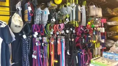 Бифит-Ка ЕООД: вносител на Julius-K9 /нагръдници, поводи, нашийници, играчки за кучета, храни/ и BowWow - лакомства за