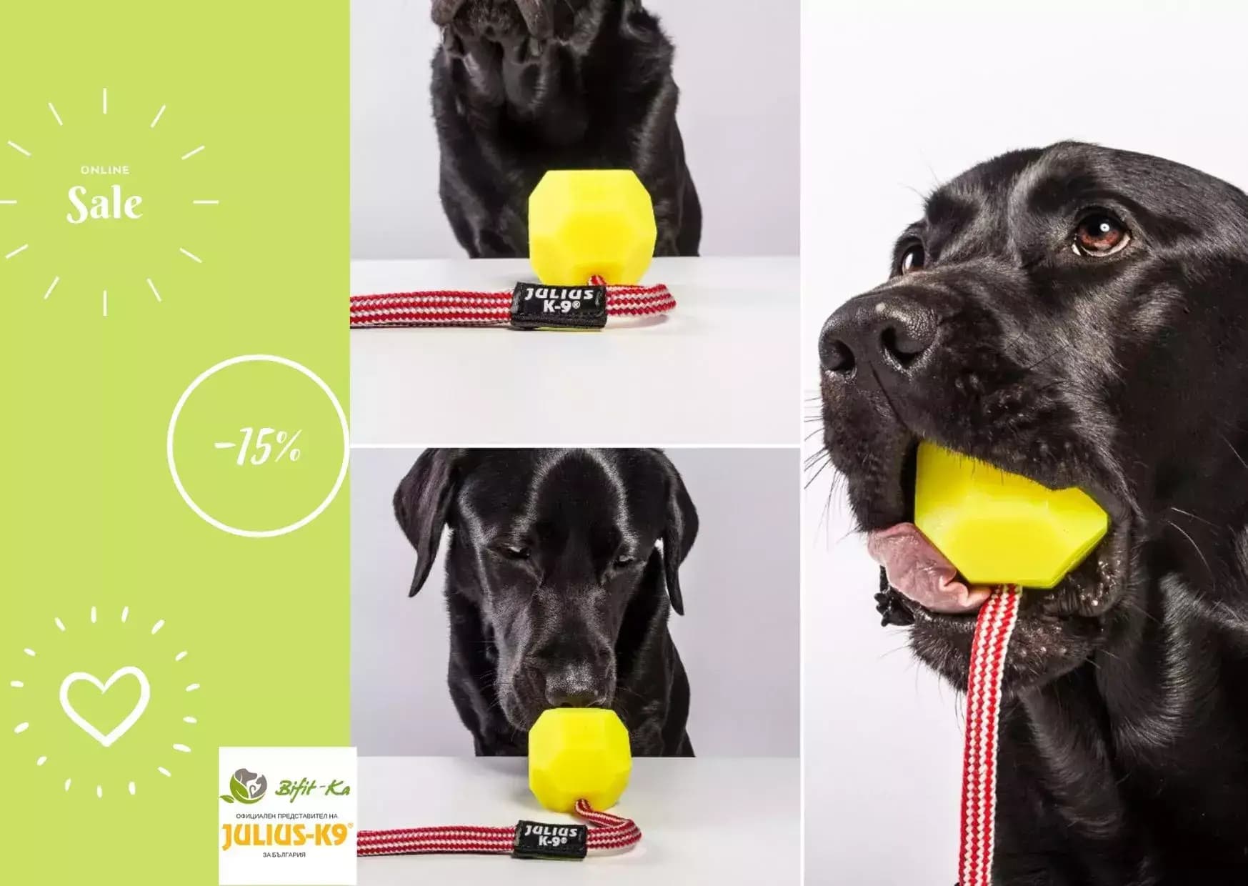 Бифит-Ка ЕООД: вносител на Julius-K9 /нагръдници, поводи, нашийници, играчки за кучета, храни/ и BowWow - лакомства за