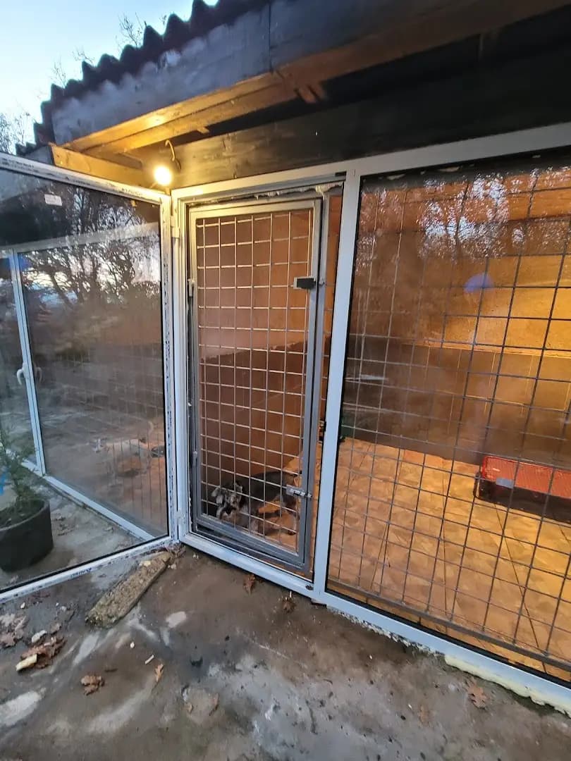 K-9 Pet Food Ltd - храни за кучета
