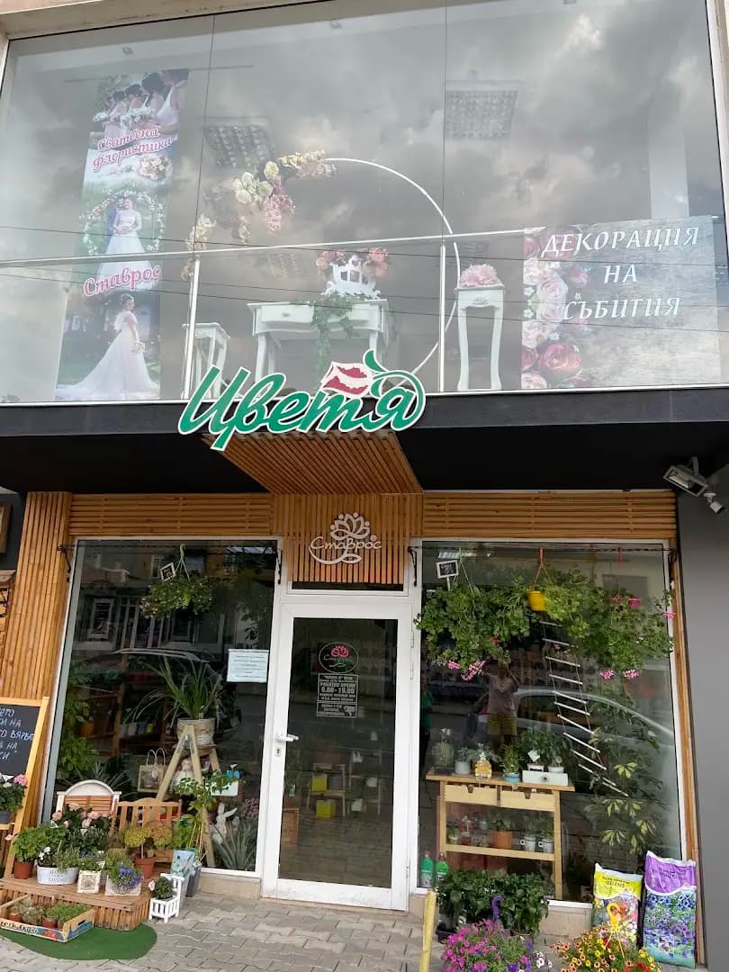 Магазин за цветя Ставрос