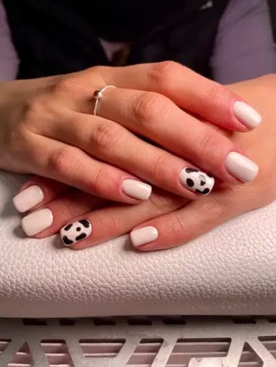 Expert Of Beauty Studio