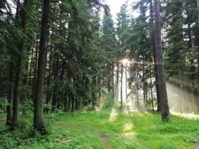 Боровец Национална Спортна Академия