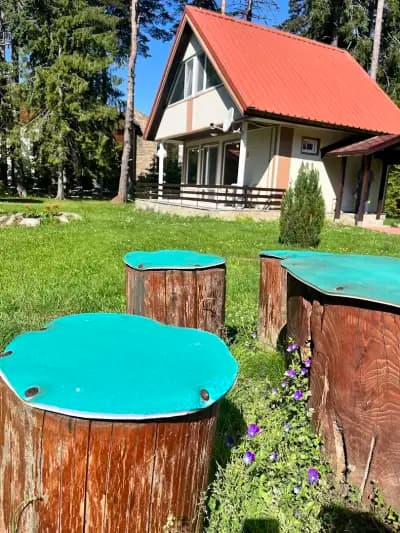 Боровец Национална Спортна Академия