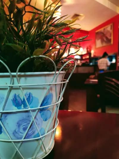Pizza Venice