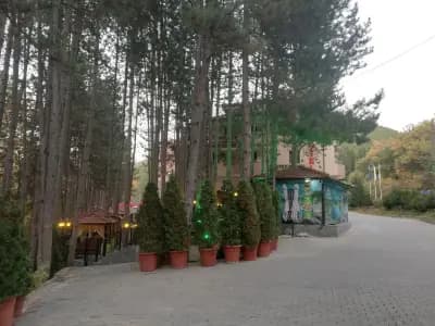 Хотел парк Бачиново