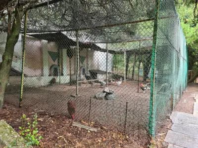 Зоологическа градина Благоевград