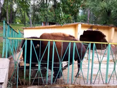Зоологическа градина Благоевград