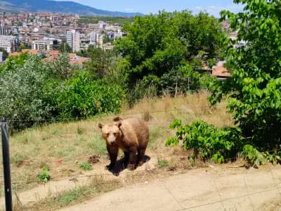 Зоологическа градина Благоевград