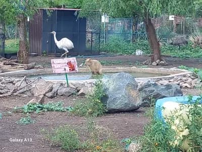 Зоопарк Бургас